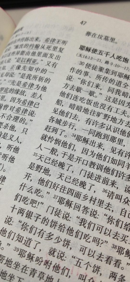 url编码 App 转义结果页截图，输入的中文长句被逐字转换成百分号加十六进制字符，结果区带复制按钮